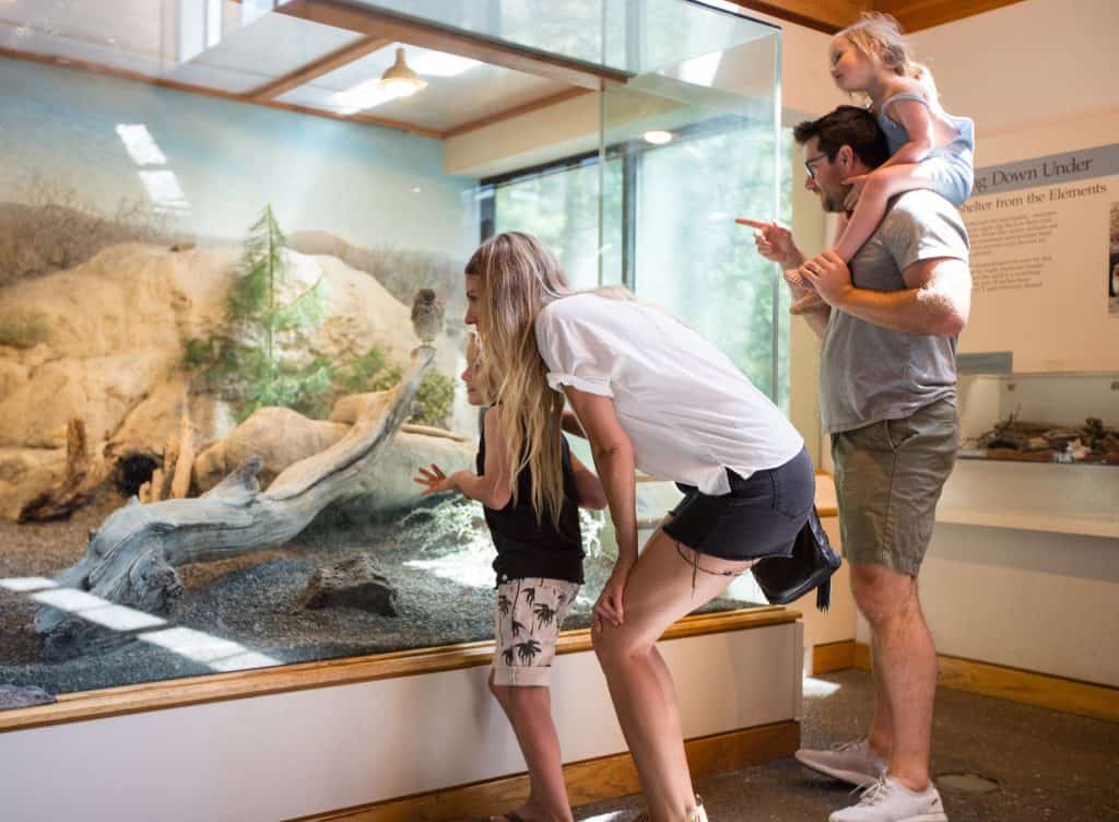 outdoor-adventure-travel-photography-by-steve-heinrichs_-38-large a family looking at the live owls inside the high desert museum