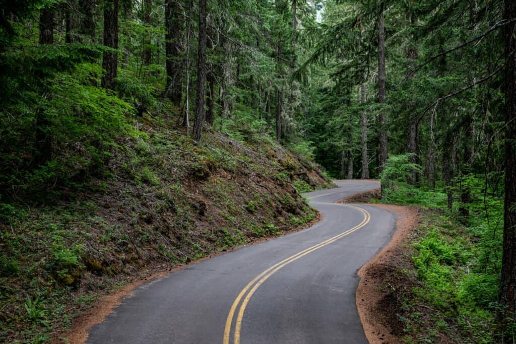 Mckenzie_5-large Winding road through greenery and trees in Central Oregon
