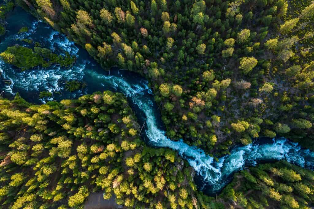 Deschutes_24-large an ariel shot of the Deschutes river flowing through the pines