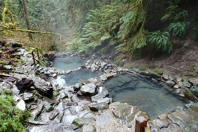 Terwilliger_Hot_Springs_2016-04-04 Cougar/Terwilliger Hot Springs