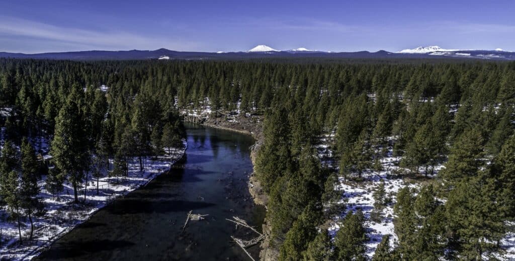 Holiday light display near Bend, Oregon