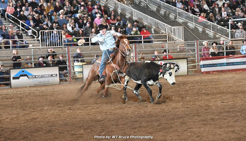 High Desert Stampede