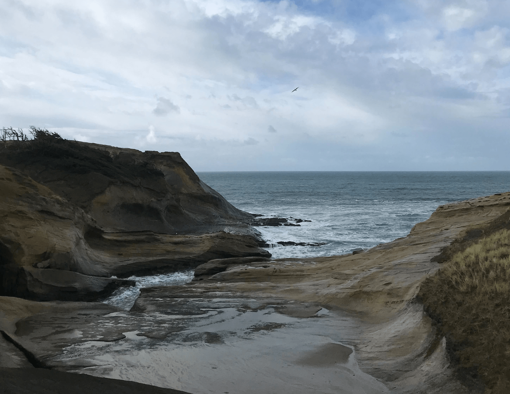 Oregon coastline in Pacific City Oregon coastline in Pacific City