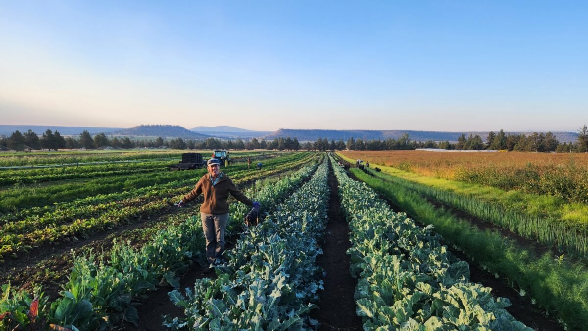 Wanderlust Tours | Farm to Table Hike & Lunch with Rainshadow Organics